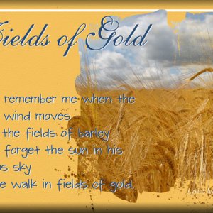 ATC-2015-30 Fields of Gold