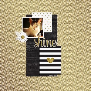 shine