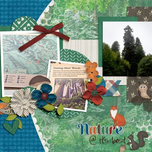 at Muir Woods