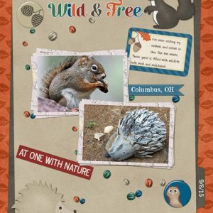 Wild + Free