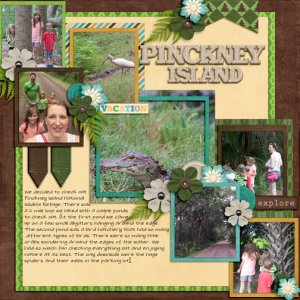 Pinckney Island