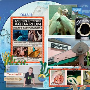 Tarpon Springs Aquarium