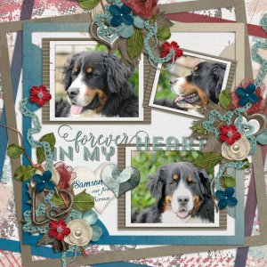 Samson - forever in my heart