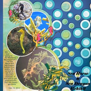 Sea Horse and Sea Dragon