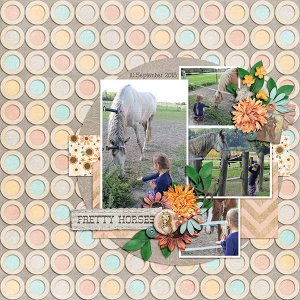 pretty horses