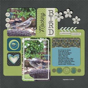 Mocking Bird