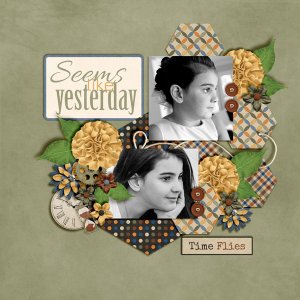 Seems-Like-Yesterday2