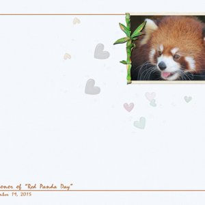 Red Panda Day