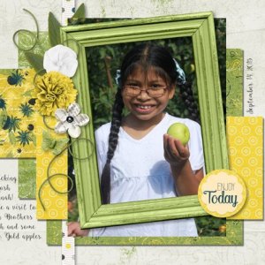 Enjoy Apple Picking