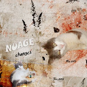 Nuage changes