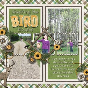 Checking the Birdhouses