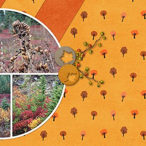 Desktop Challenge ~ Sep 15