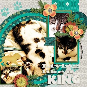 Living Like A King