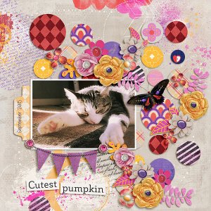 cutest pumpkin