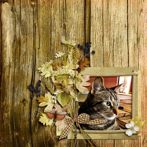 Autumn