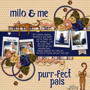 Purr-fect Pals