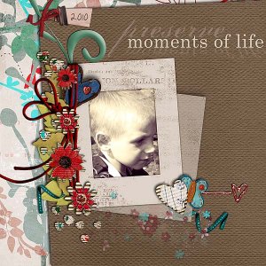 Preserve Moments In Life