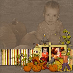 Pumpkin patch