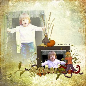 pumpkin patch