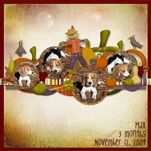 the autumn Max