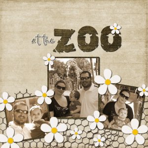 at the zoo