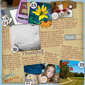 Week 39/52