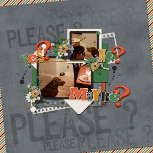 Waffles-pleaseWEB