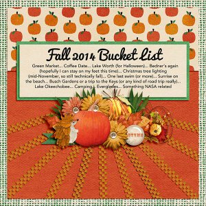 Fall 2014 Bucket List