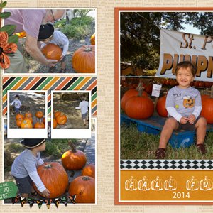 Pumpkin Patch 2014