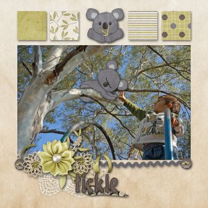 tickle koala