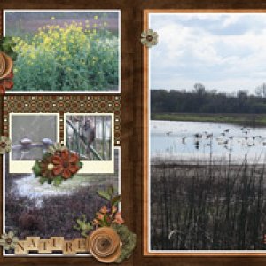 Cosumnes River