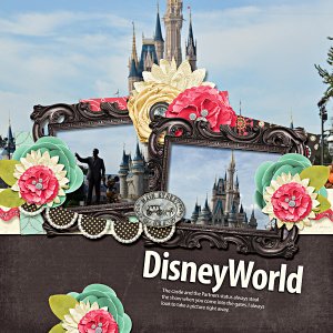 DisneyWorld