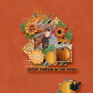 BD-CutestPumpkin