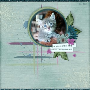 Little Kitty