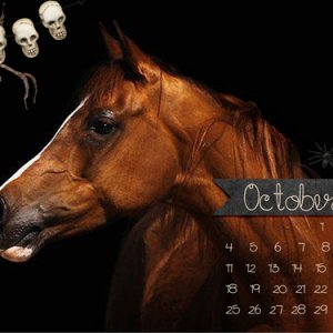 Oct Desktop