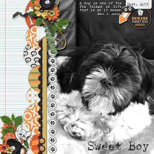 Sweet Boy