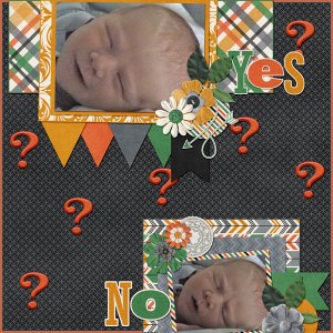 Yes or No
