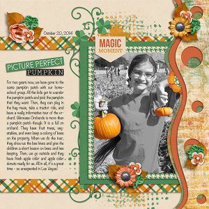 Picture Perfect Pumpkin