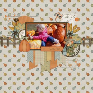 pumpkin patch