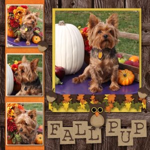 Fall Pup