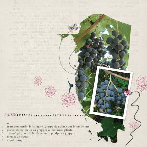 My Grapes