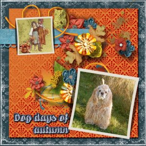 Dog_days_of_autumn