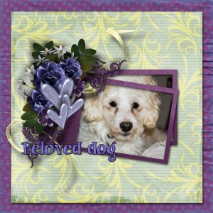 Beloved_dog