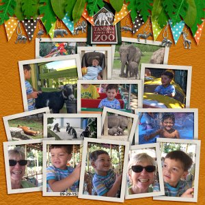 A Day at the Zoo with Grandma