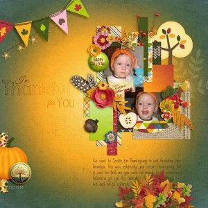 I Am Thankful for You