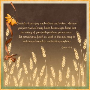 James 1:2-4
