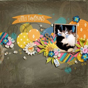 little pumpkins
