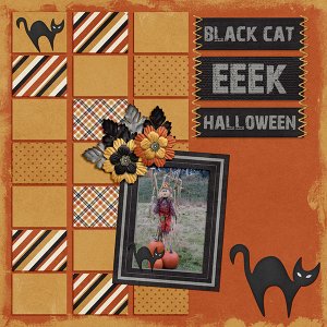 Black Cat + Frienly Scarecrow