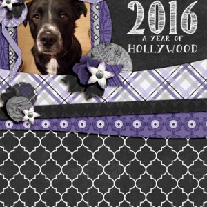 2016 A Year of Hollywood