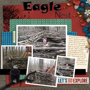 Eagle Nest